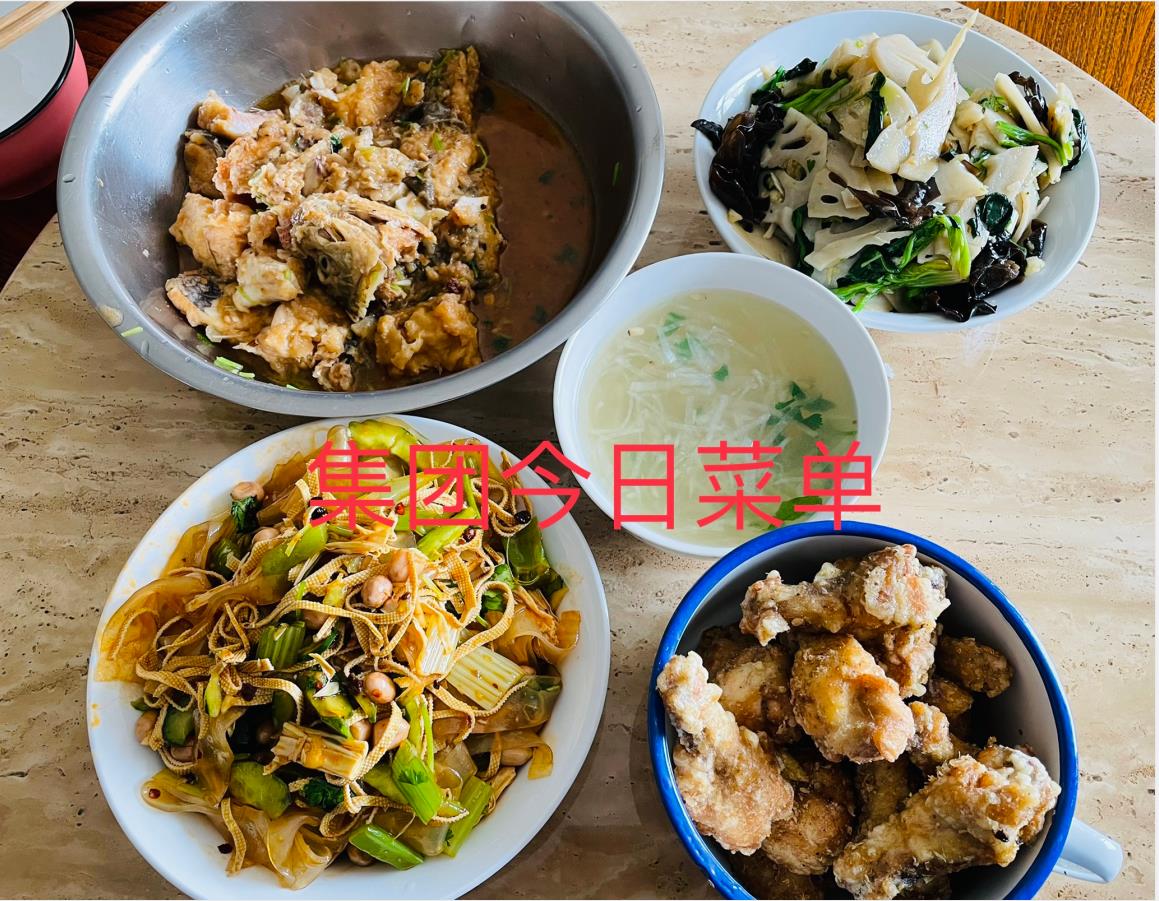 网9.jpg