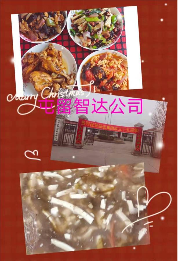 网13.jpg